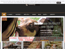 Tablet Screenshot of cinoservizio.com